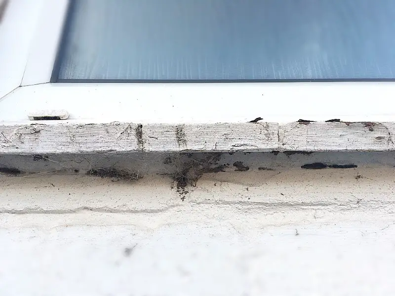 clear debris from window ledges