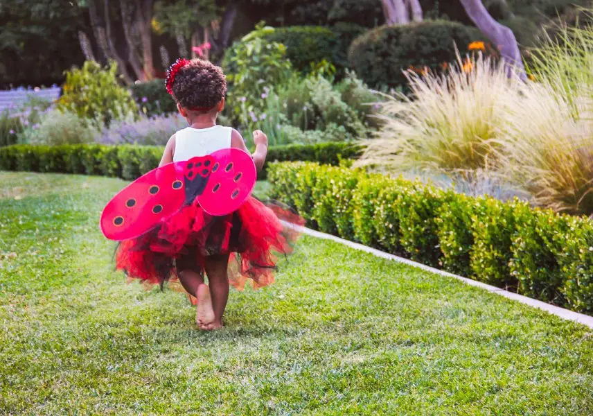 ladybug gifts