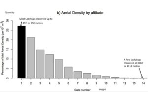 research chart showing height frequency of Ladybugs during study