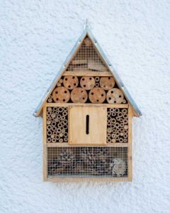 will ladybugs stay in my garden - build a ladybug house