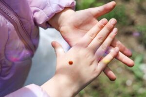 ladybug crawling on hand