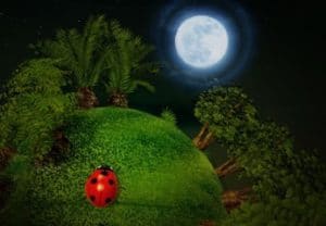 Do Ladybugs Sleep