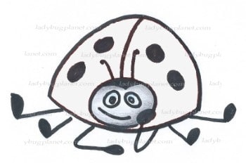 lotti-white-ladybug