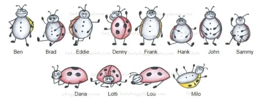 ladybug characters - fear of ladybugs